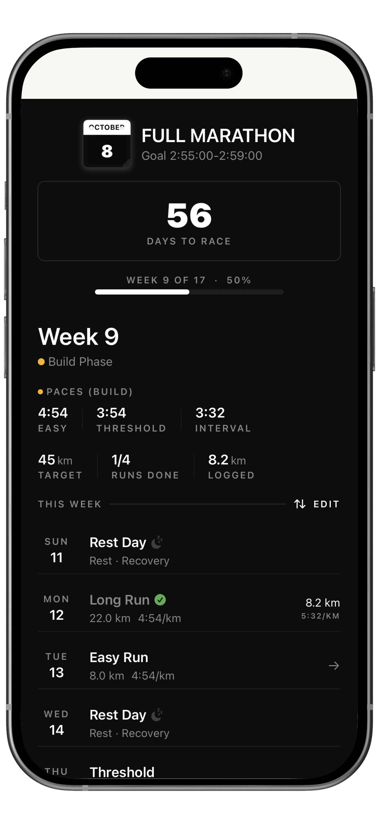 Tokyo Marathon inspired theme screenshot